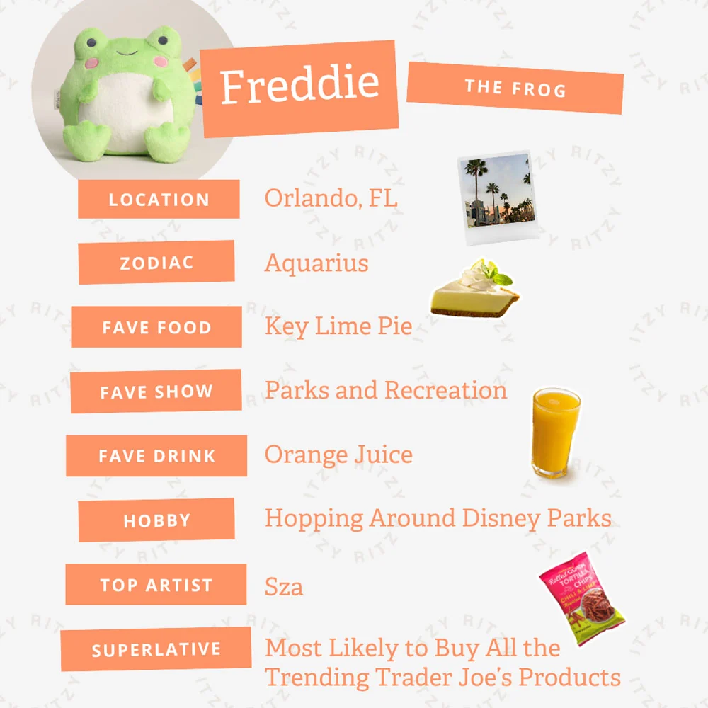 *Itzy Ritzy Sweetie Snuggles - Freddie the Frog 12" - Image 5