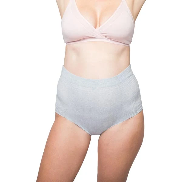 Frida Mom C-Section High-Waist Disposable Postpartum Underwear - Regular