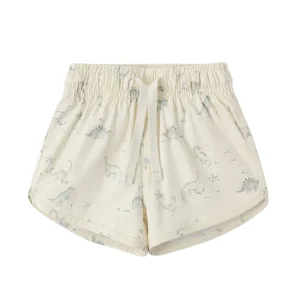 Quincy Mae Boys Swim Short - Dinosaur - 12-18m