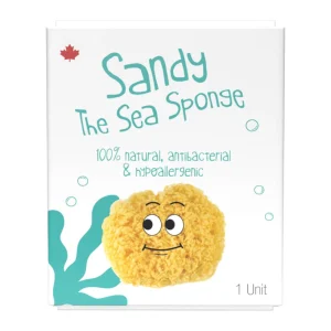 *Loot Toys Sandy the Sea Sponge