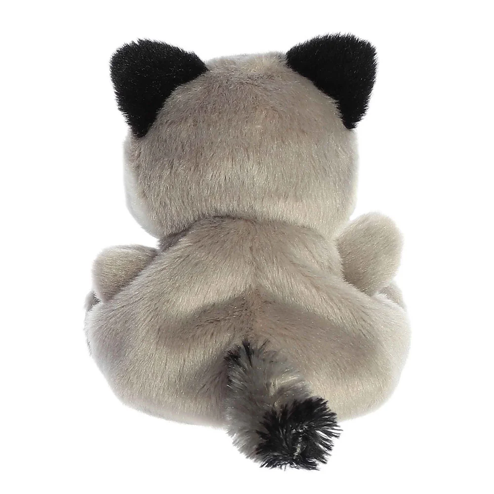 *Palm Pals Rascal Raccoon - 5" - Image 4