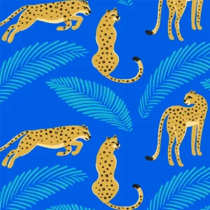 Honeysuckle Swim Co. - One Cool Cat - UPF 50+ Swimsuit - 0-6m