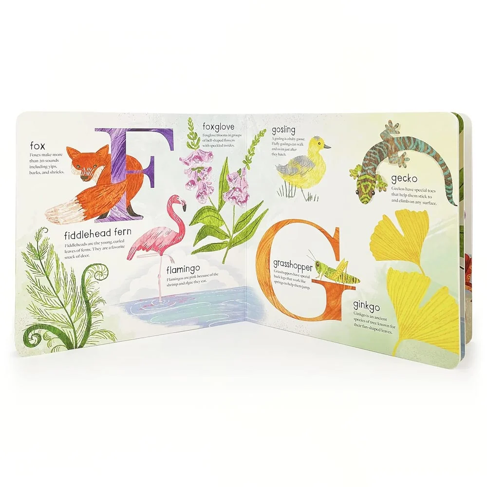 ABC of Nature - Image 2