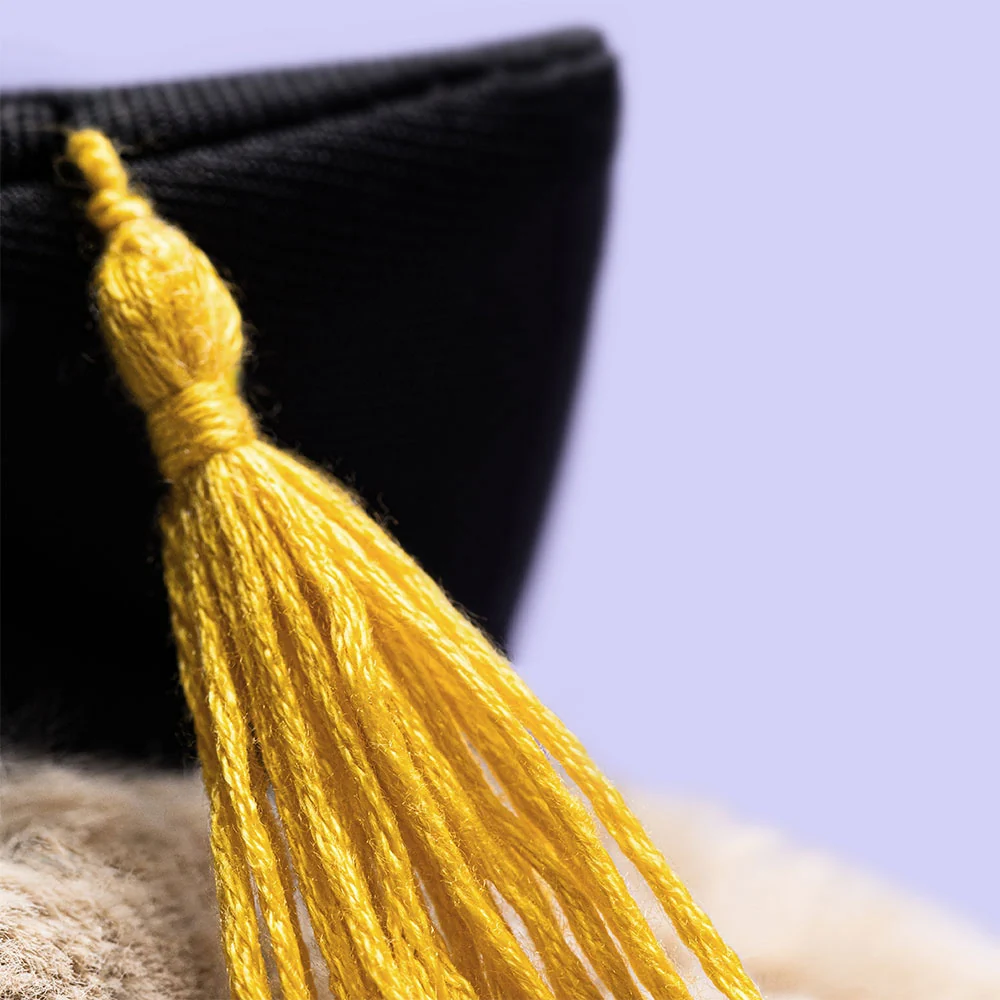 *Jellycat Bashful Bunny Graduation Outfit - 12" - Image 2