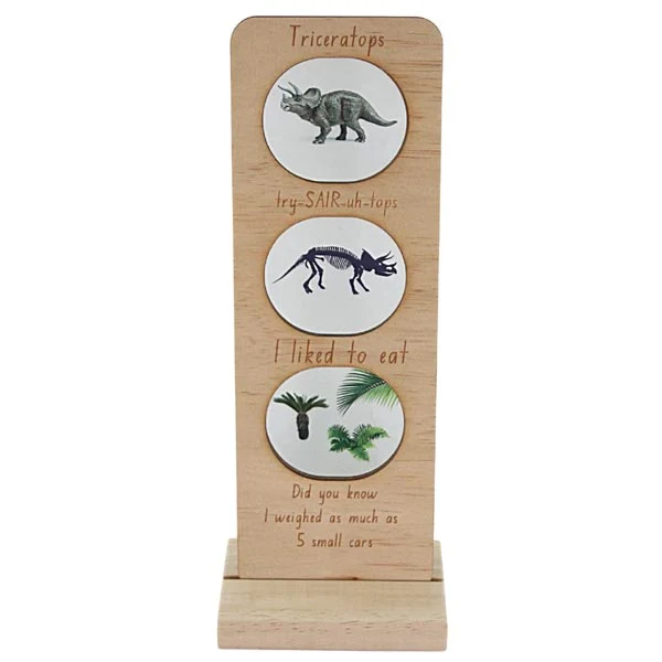 *5 Little Bears Dinosaurs Eco System Range *CLEARANCE* - Triceratops - Image 2