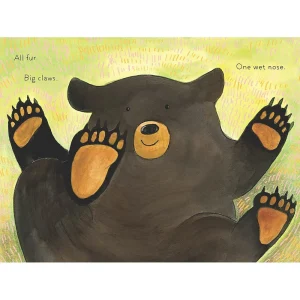 A Cub Story Book