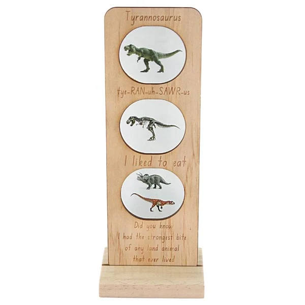*5 Little Bears Dinosaurs Eco System Range *CLEARANCE* - Triceratops - Image 3